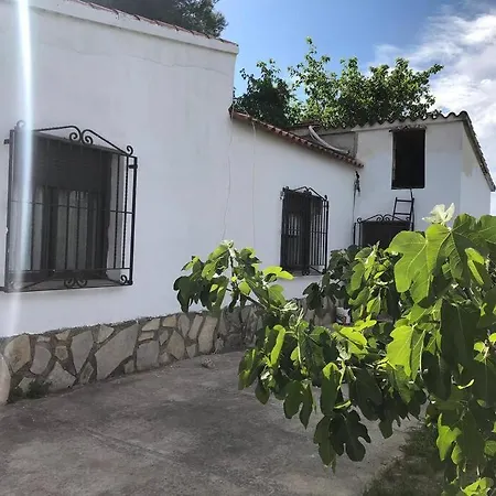 A Afueras De Desconectar Oliva