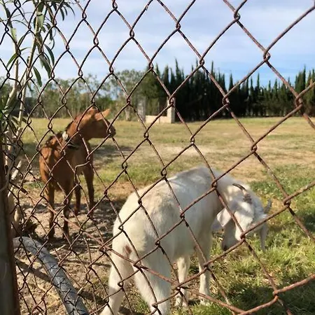 A Afueras De Desconectar Feriehus *